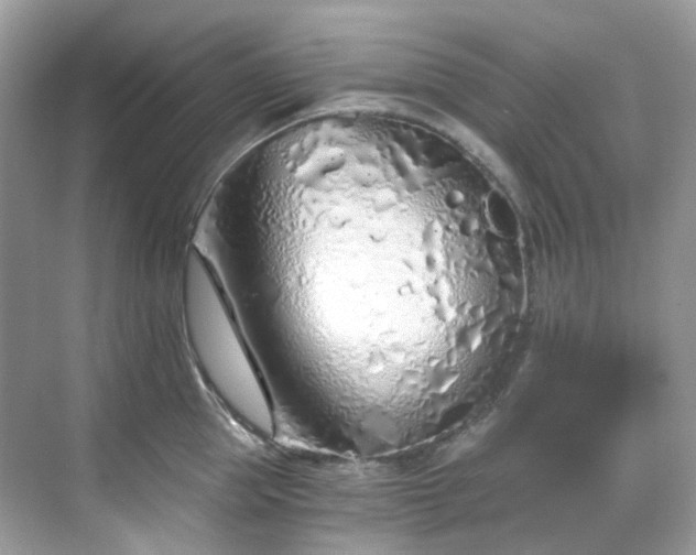 X0000068730953200605051455