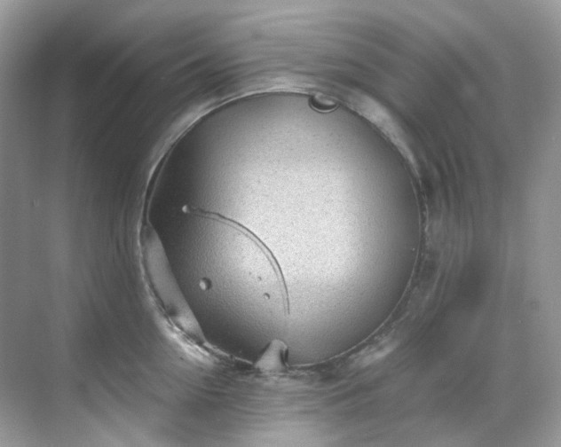 X0000068730954200605051455