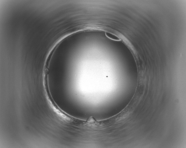 X0000068730955200605051455