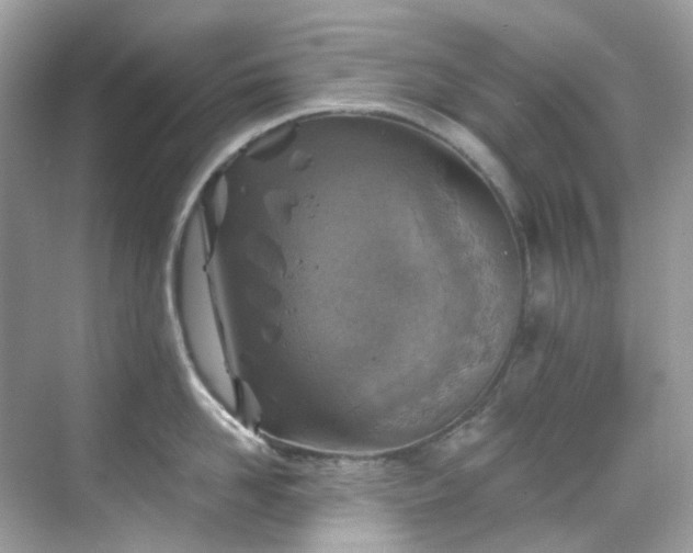 X0000068730958200605051455