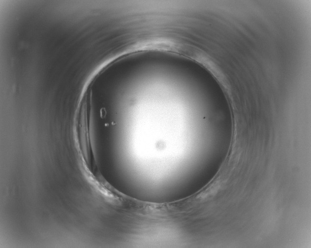 X0000068730960200605051455