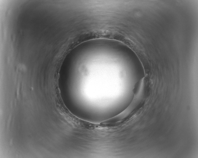 X0000068730961200605051455