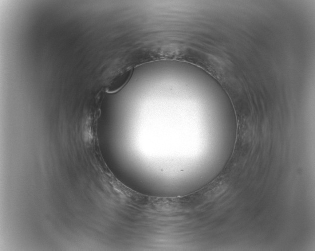 X0000068730962200605051455