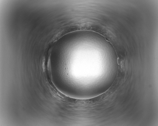 X0000068730963200605051455