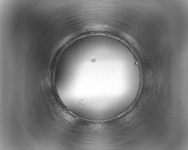 X0000068730970200605051454