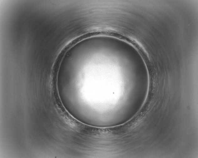 X0000068730975200605051454