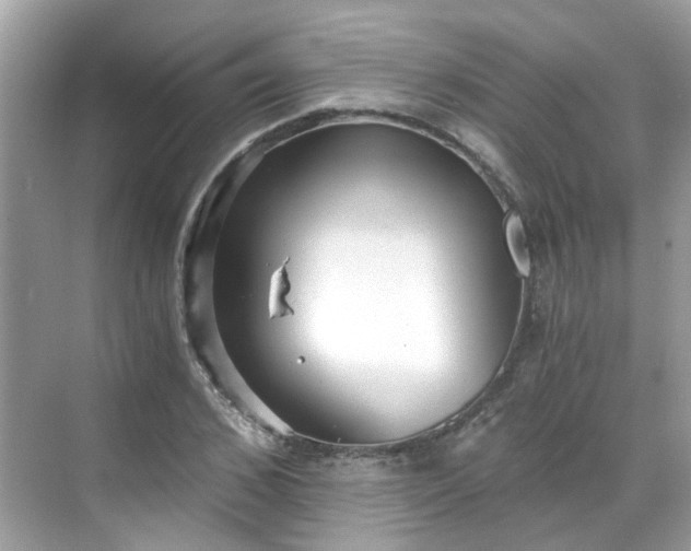 X0000068730976200605051454