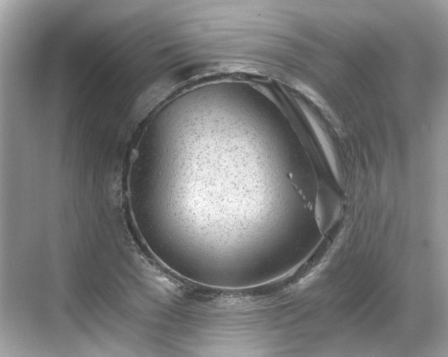 X0000068730977200605051454