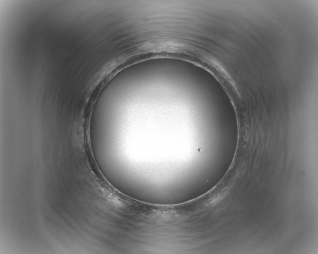 X0000068730978200605051454