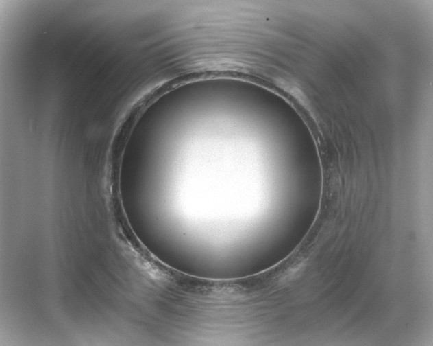 X0000068730979200605051454