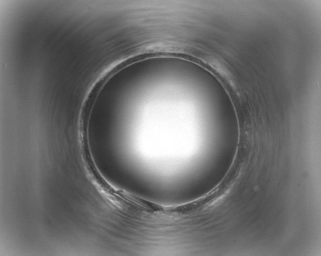 X0000068730981200605051454