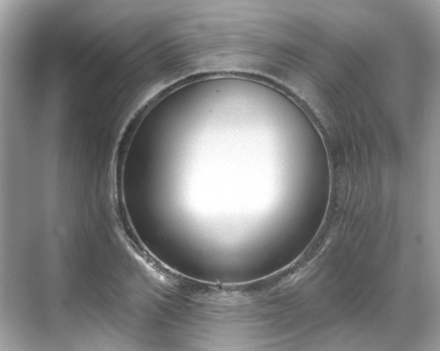 X0000068730982200605051454