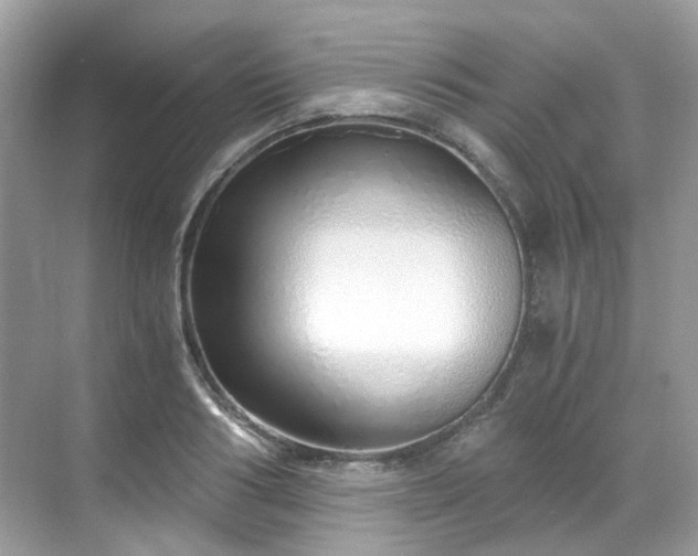 X0000068730986200605051454