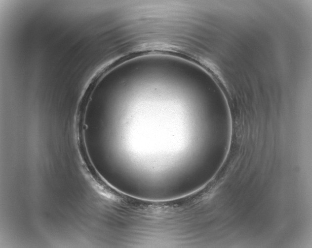 X0000068730987200605051454