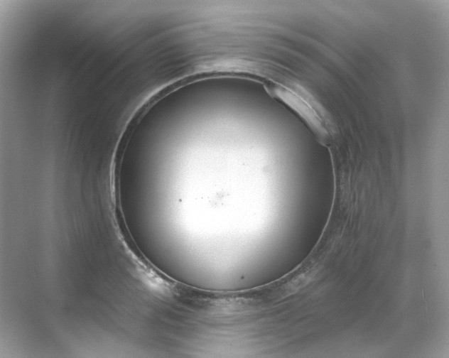 X0000068730988200605051454