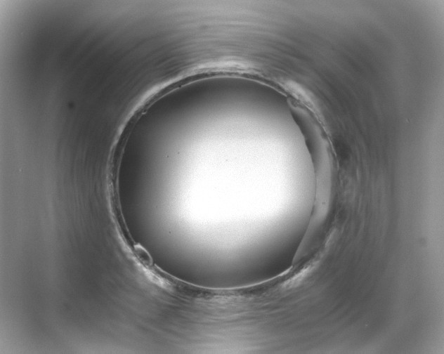 X0000068730989200605051454