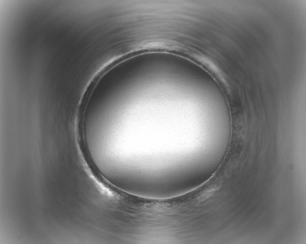 X0000068730991200605051454