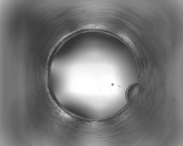 X0000068730992200605051454