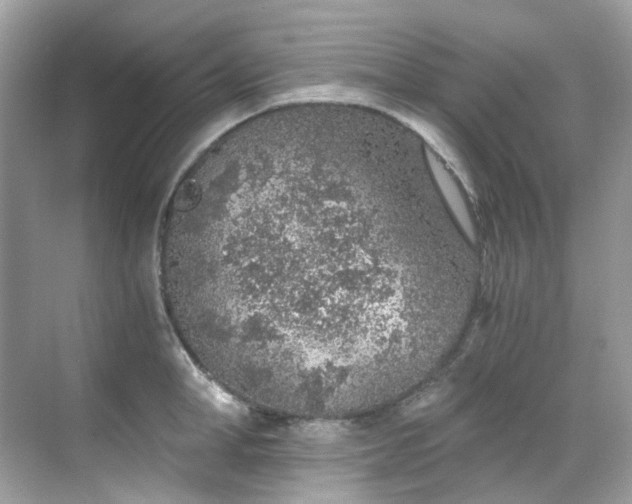 X0000068730998200605051454