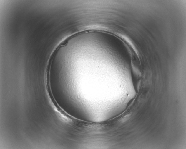 X0000068730999200605051454