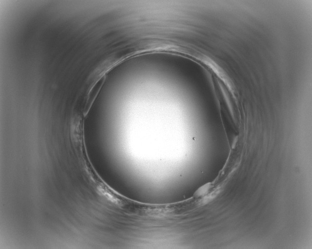 X0000068731001200605051454