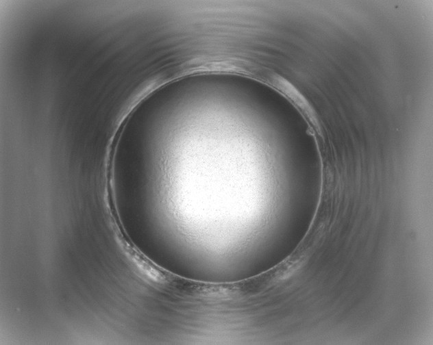 X0000068731002200605051454