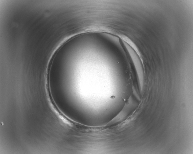 X0000068731005200605051454