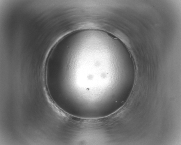 X0000068731008200605051454