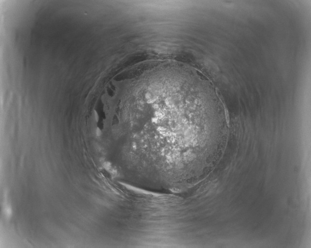 X0000068731009200605051453