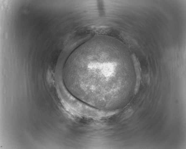 X0000068731010200605051453