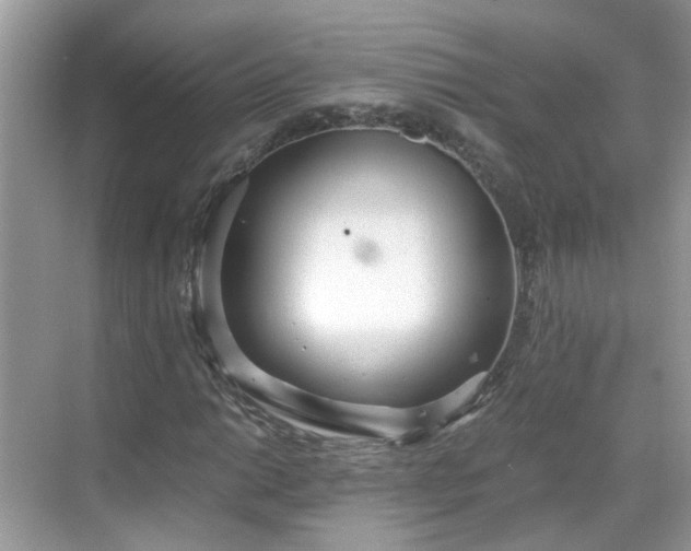 X0000068731014200605051453