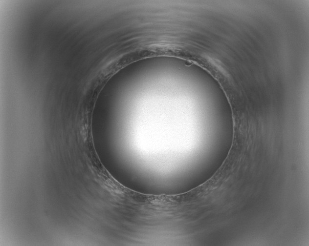 X0000068731015200605051453