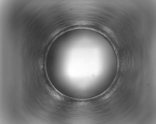 X0000068731017200605051453