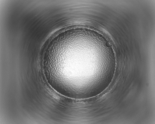 X0000068731019200605051453