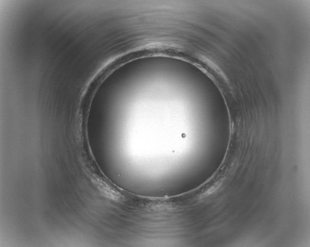 X0000068731021200605051453