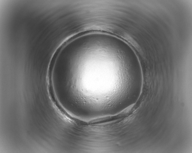 X0000068731028200605051453