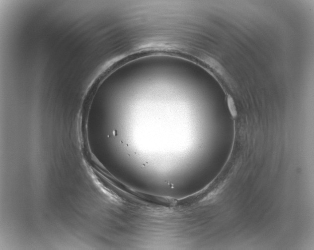 X0000068731030200605051453