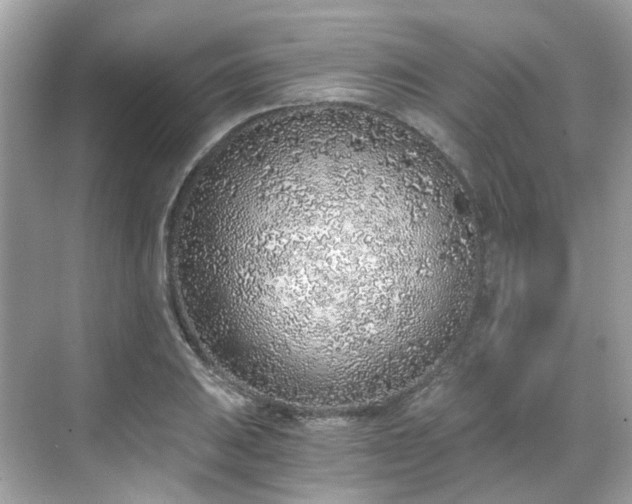 X0000068731031200605051453