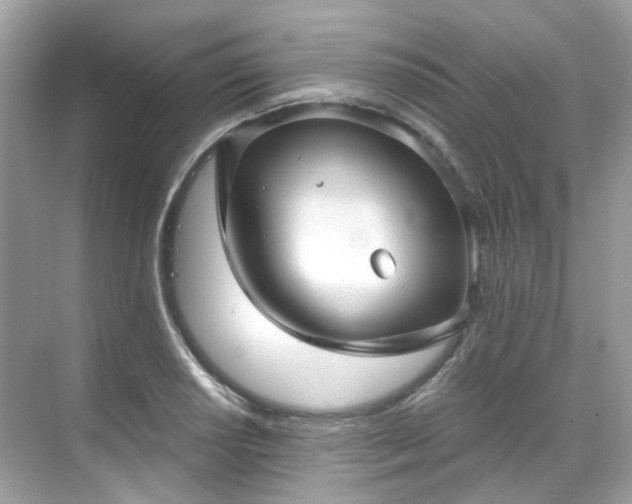 X0000068731034200605051453