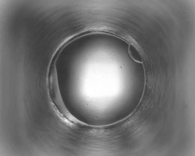 X0000068731036200605051454