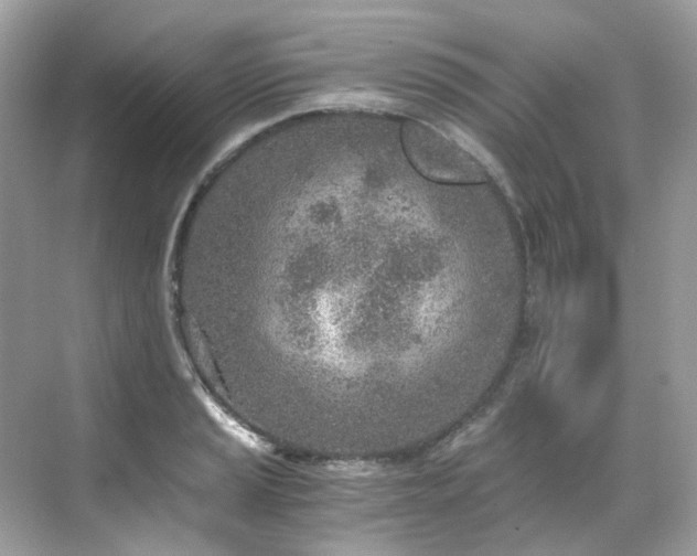 X0000068731037200605051454