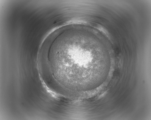 X0000068731038200605051454