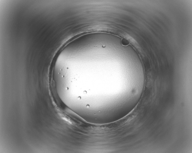 X0000068731039200605051454