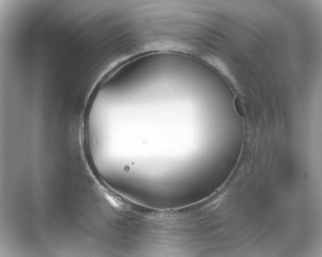 X0000068731040200605051454