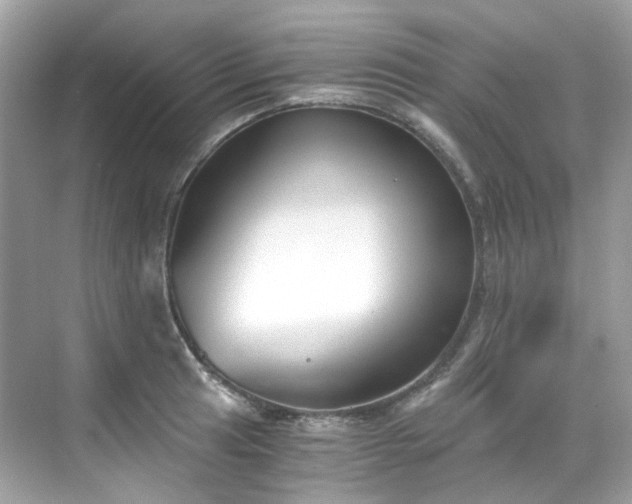 X0000068731041200605051454