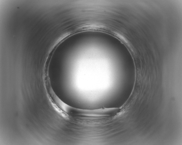 X0000068731042200605051454