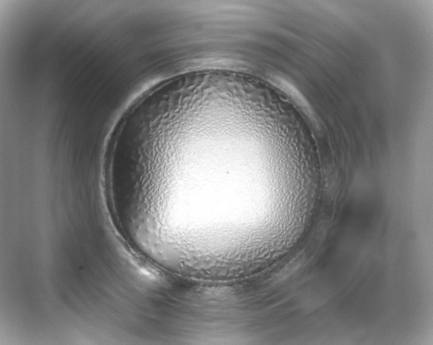 X0000068731043200605051454