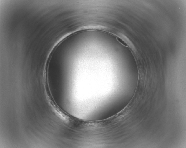 X0000068731044200605051454