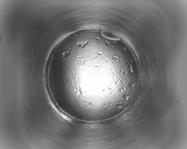 X0000068731045200605051454