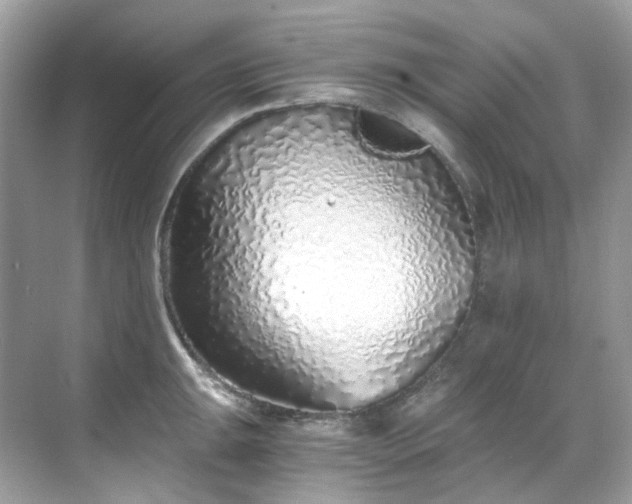 X0000068731047200605051454